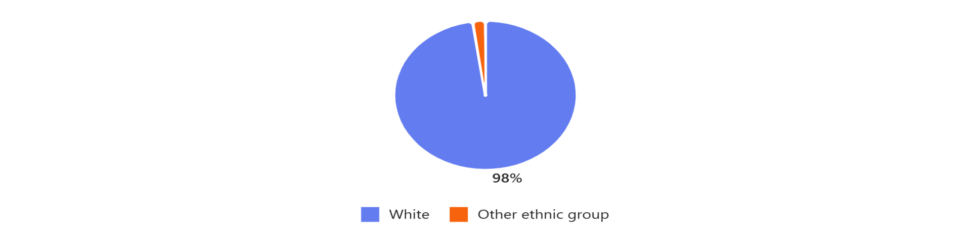 Ethnic Group